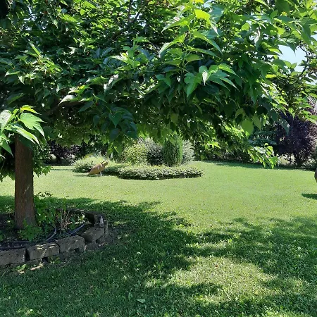 Casa Massimo * Altedo