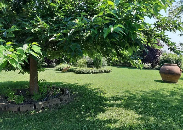 Casa Massimo * Altedo